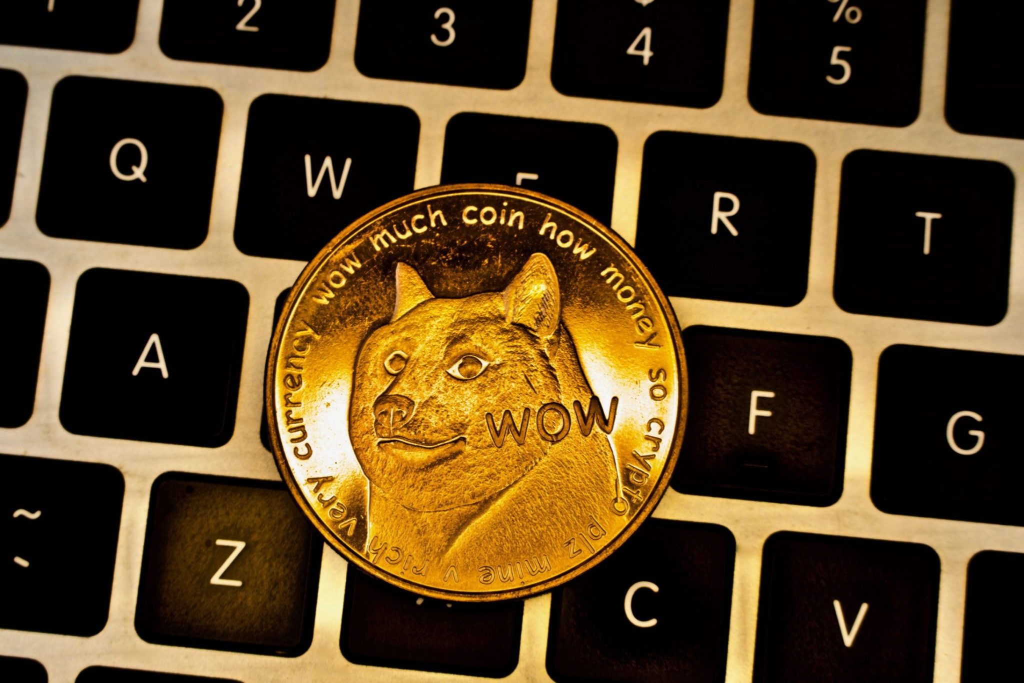 what is the future of dogecoin