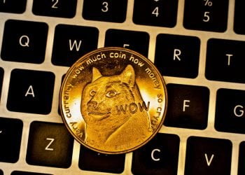 The Future Of Dogecoin