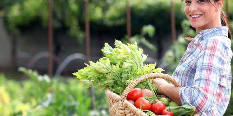 vegetable gardening
