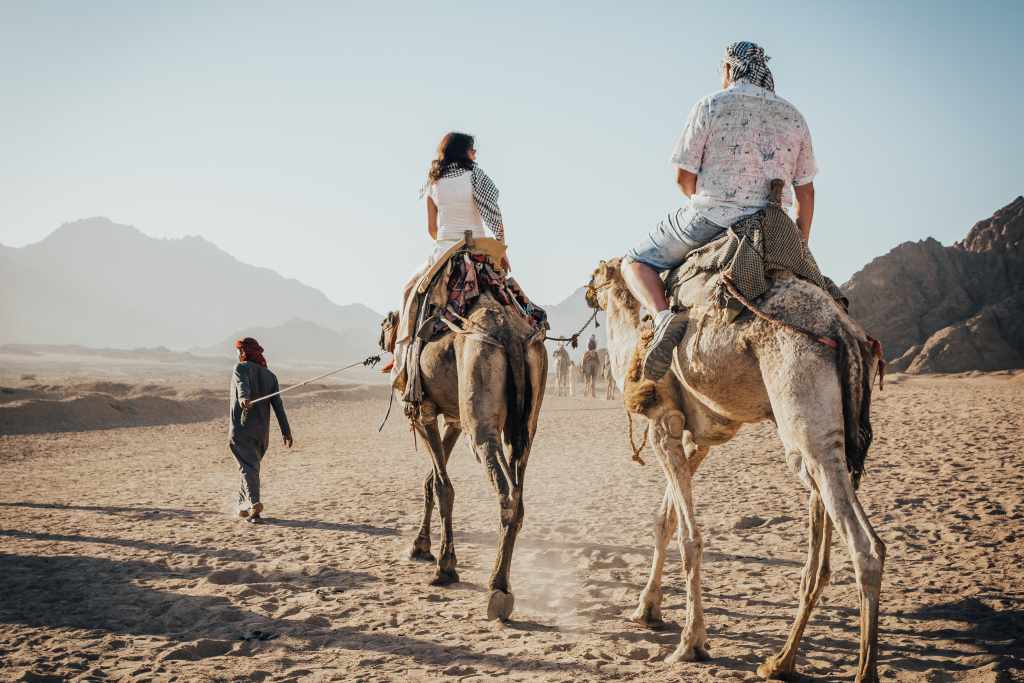 a ride on the camel