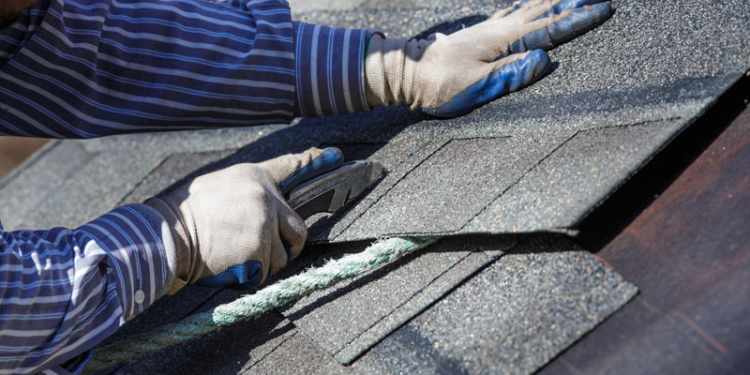 asphalt shingle roof