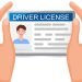 driving license on english