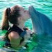 swim with dolphins