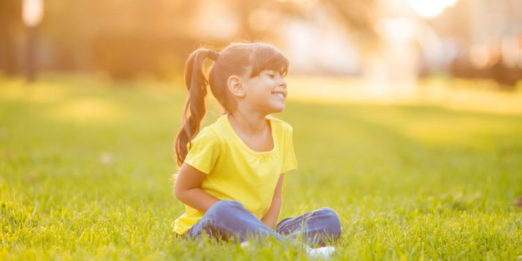 professional lawn care