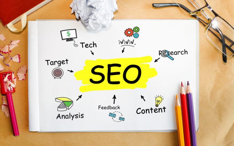 check your seo ranking