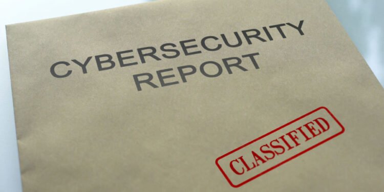 Public Cybersecurity Companies: Choosing a Cybersecurity Expert