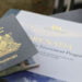 A Guide for Acquiring Dual Citizenship in Grenada