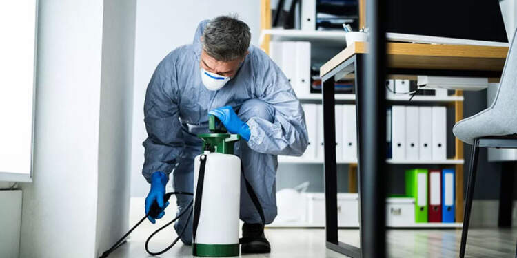 Best Termite Inspection Service