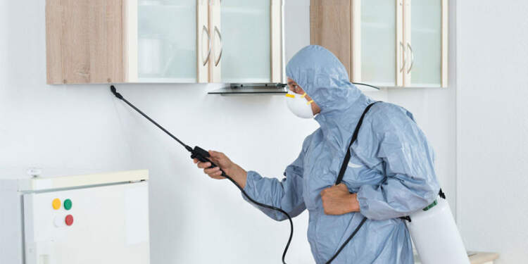 The Integrated Approach to Pest Management