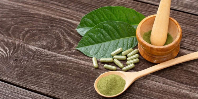 Traditional and Modern Uses of Kratom