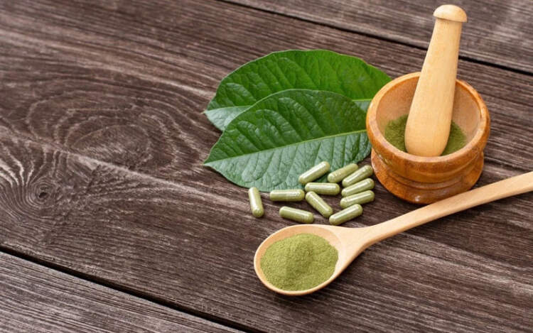 Traditional and Modern Uses of Kratom