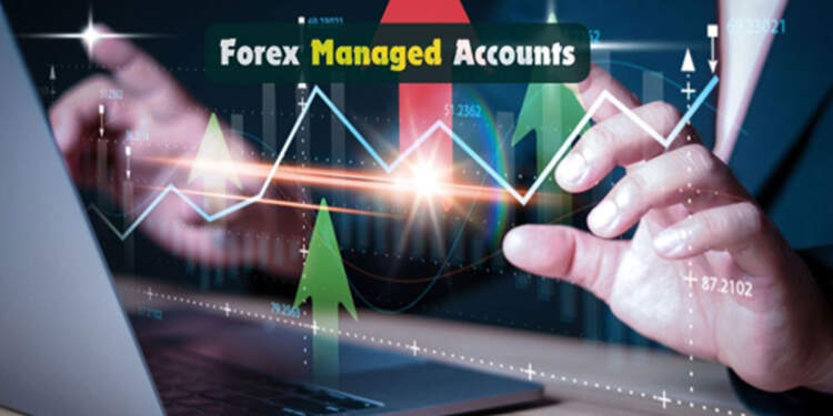 Forex Managed Accounts